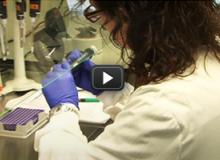 Reading the book of our DNA
