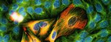 Skin cancer exposed