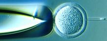 The biotechnology revolution