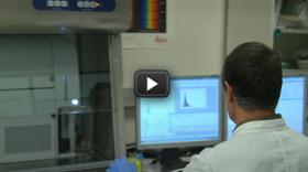 Identificando las células responsables de la metástasis Identificando las células responsables de la metástasis